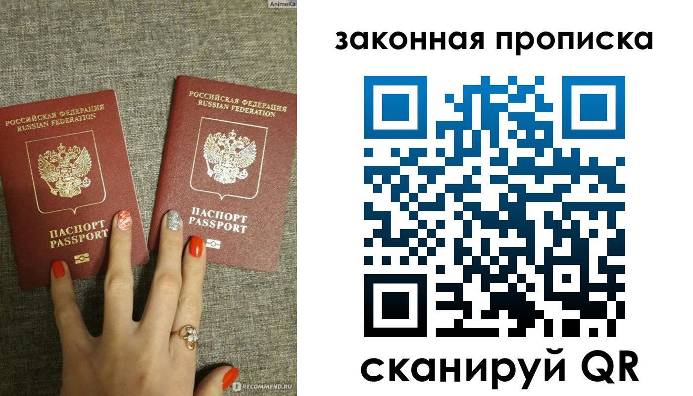 прописка для школы в Владимирской области