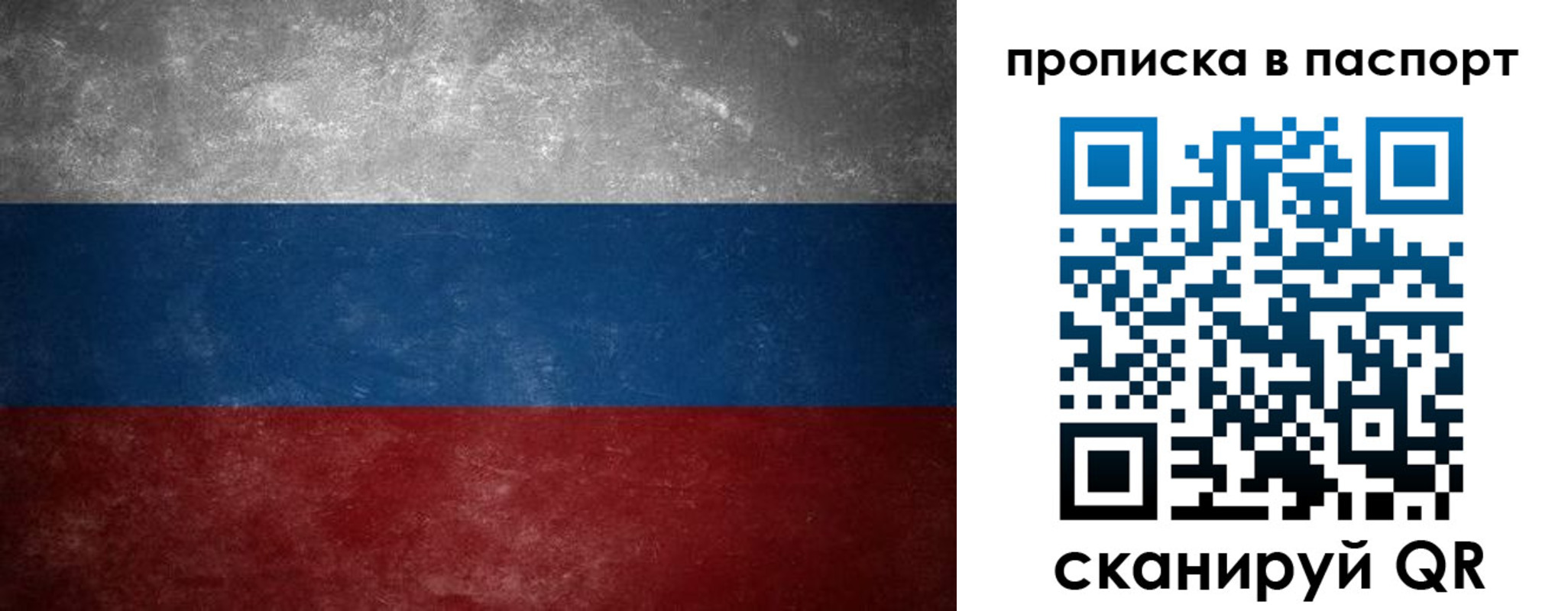 регистрация в Владимирской области
